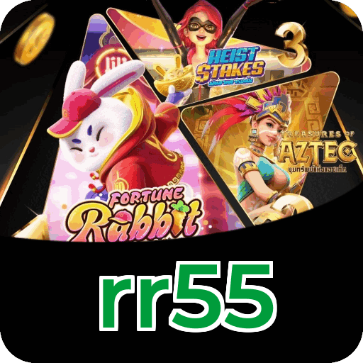 Interface intuitiva rr55 - design moderno e fácil de usar